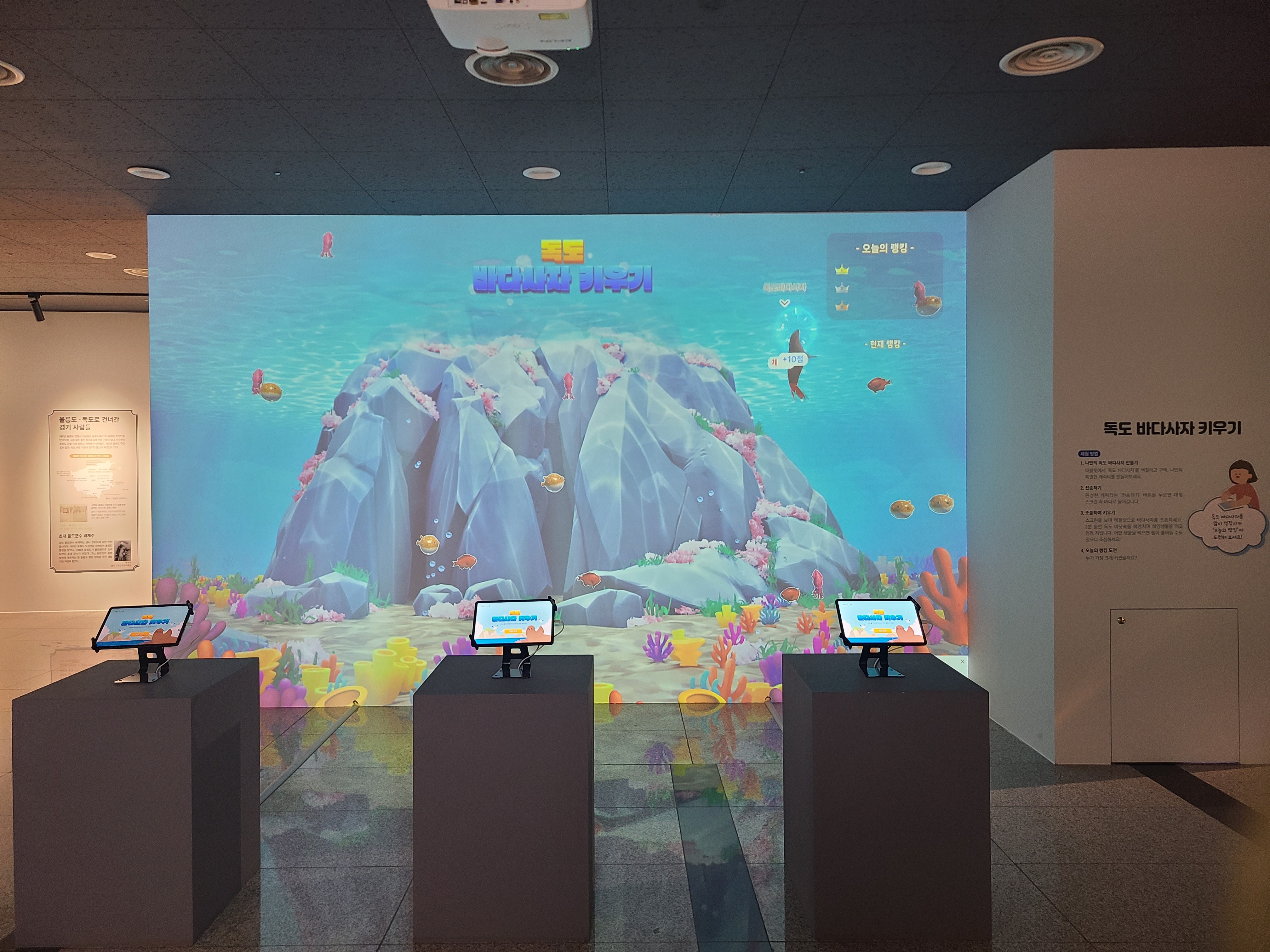 독도 라이브 스케치